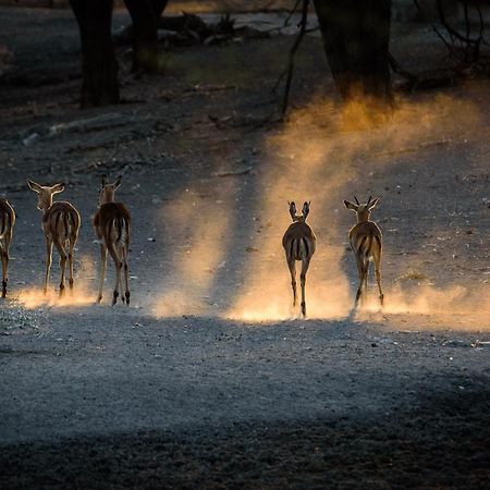 Gabus Safari Lodge Otavi Kültér fotó
