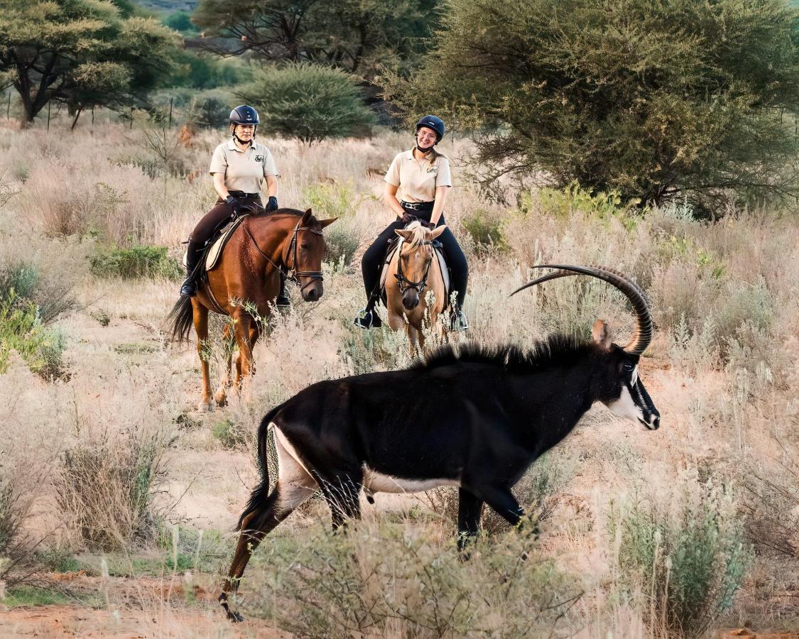 Gabus Safari Lodge Otavi Kültér fotó