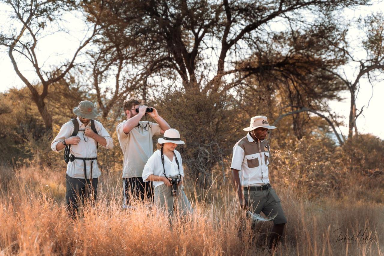 Gabus Safari Lodge Otavi Kültér fotó