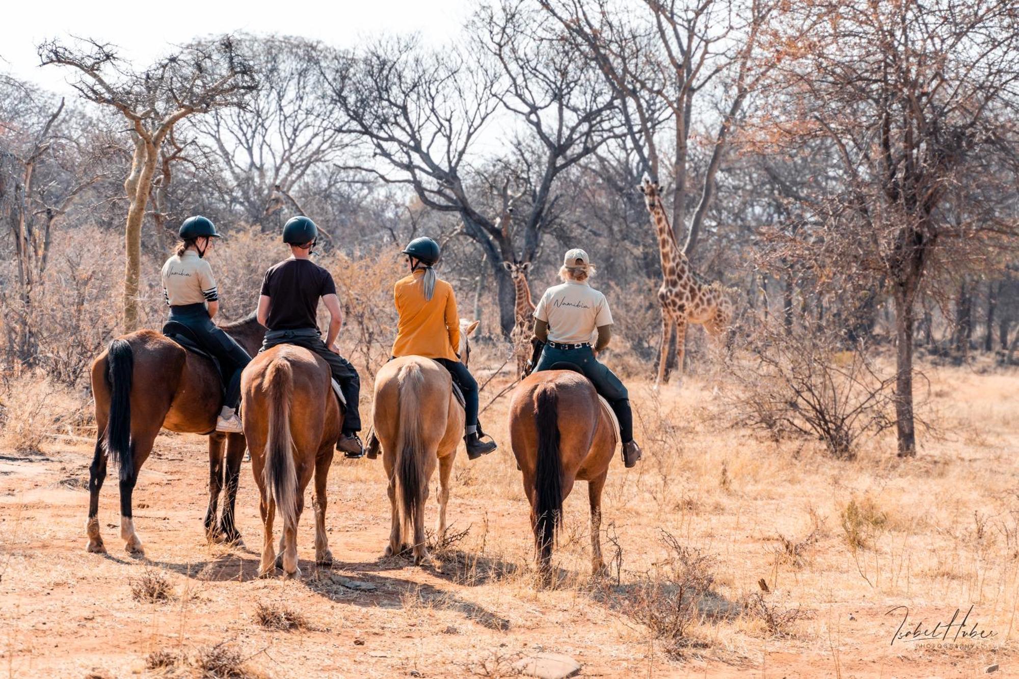 Gabus Safari Lodge Otavi Kültér fotó